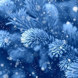 Meet your Posher, Jillian